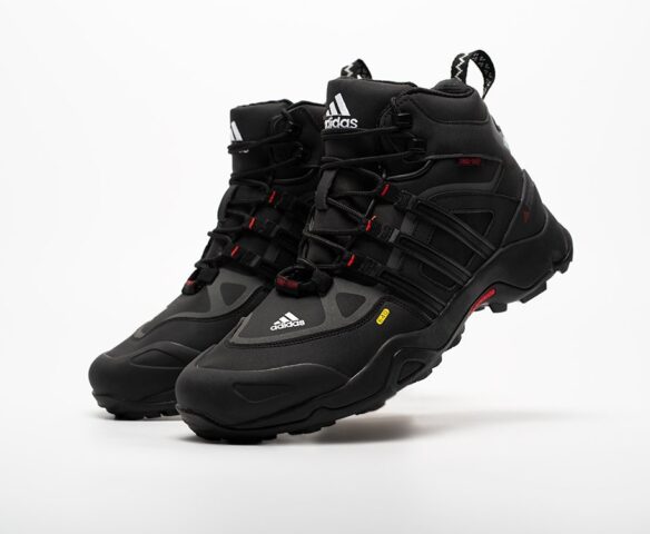 Зимние Adidas Terrex Winter DT3