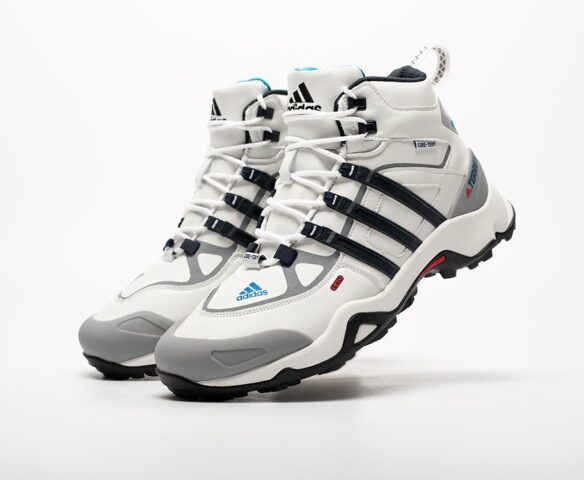 Зимние Adidas Terrex Winter DT4