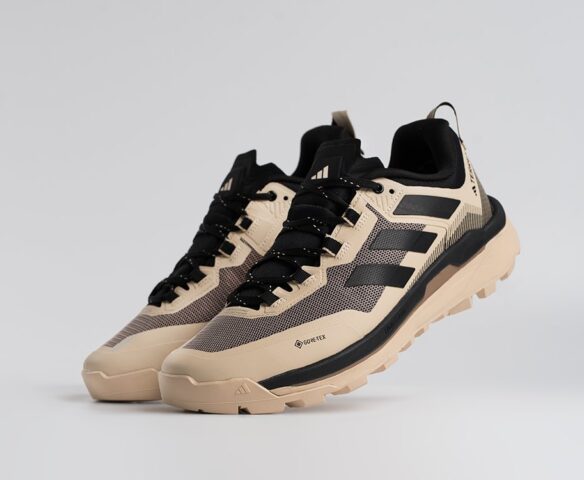 Adidas Terrex Skychaser Tech Low Gtx Бежевые 45213