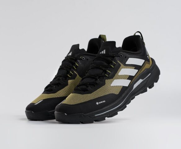 Adidas Terrex Skychaser Tech Low Gtx Зеленые 45211